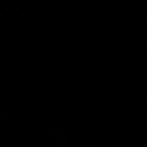 Meet your Posher, Jacky